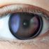 A new milestone in augmented reality: Functional contact lenses | VentureBeat